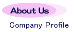 About Us Company Profile